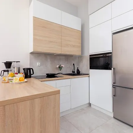 شقة The Opera Grzegorzki Arianska 4 By Renters *